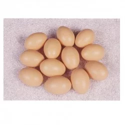 Lot de 12 œufs bruns