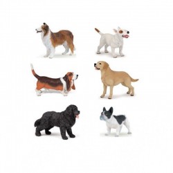 Lot de 6 chiens de race