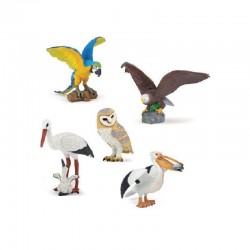 Lot de 5 oiseaux du monde