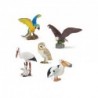 Lot de 5 oiseaux du monde