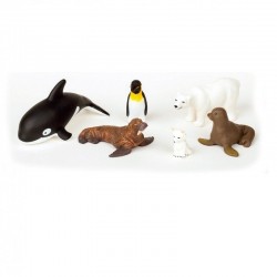 Animaux du pole nord