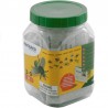 Lot de 12 insectes