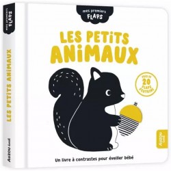 Mes premiers flaps - Les...