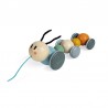 Chenille a promener