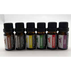 Set de 6 recharges d'odeur