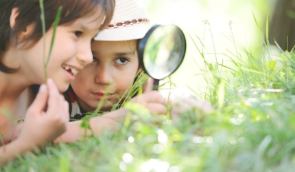 Apprendre avec la nature : grandir, explorer et s'éveiller dès le plus jeune âge